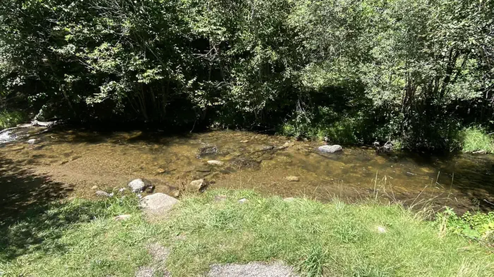 Trail in campsite runs by Holy Ghost Creek