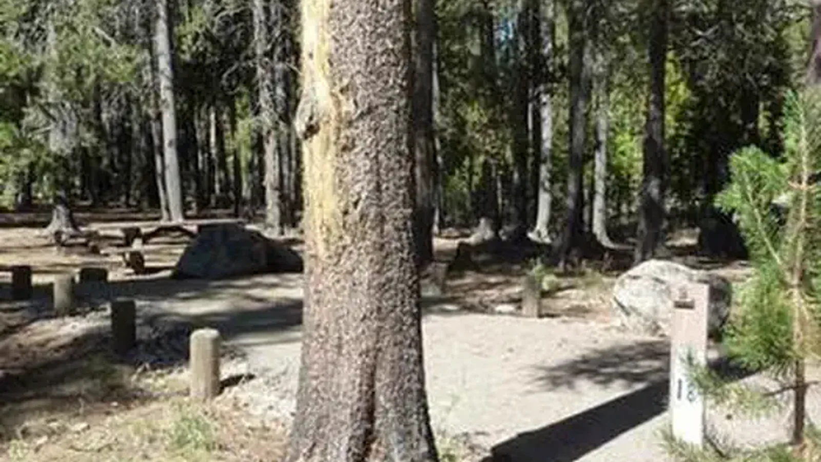 JACKASS MEADOW