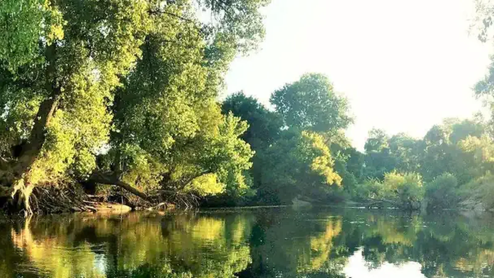 Stanislaus River Sunset