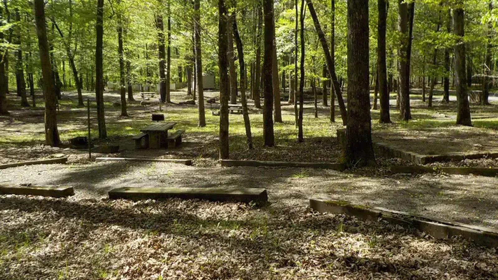 Campsite