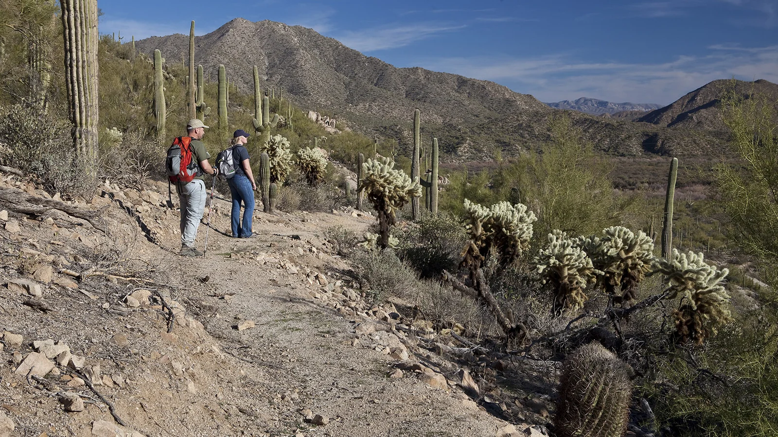 Arizona National Scenic Trail Passage 16