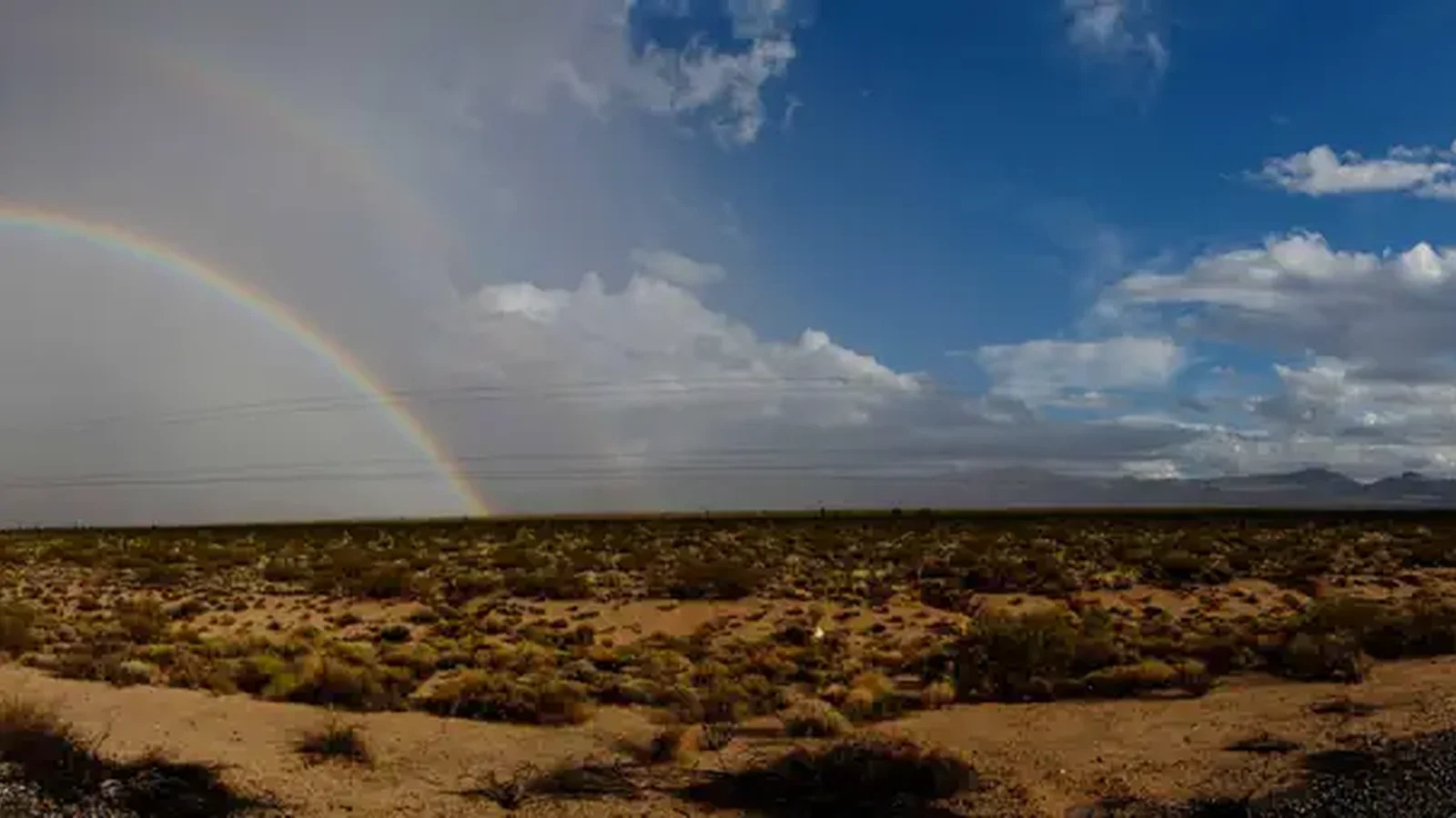 Mojave National Preserve
