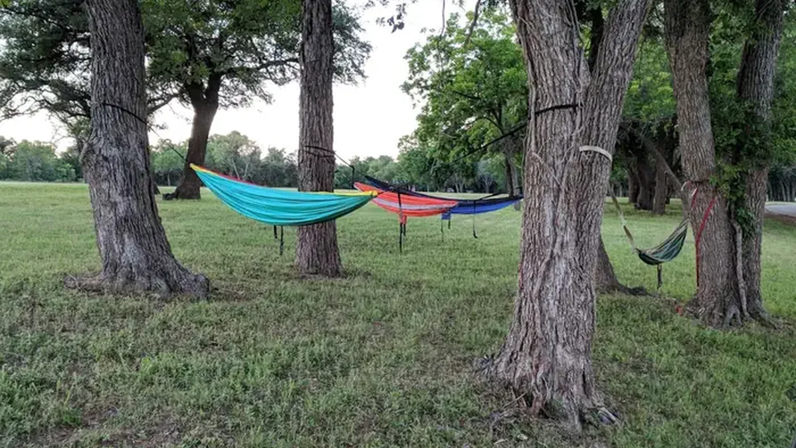 Hammocks at Plowman