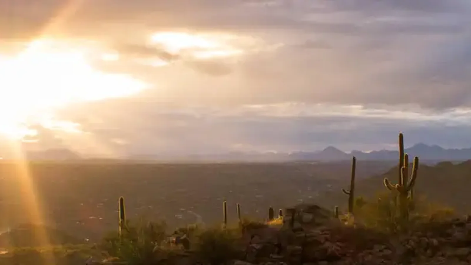 Coronado National Forest