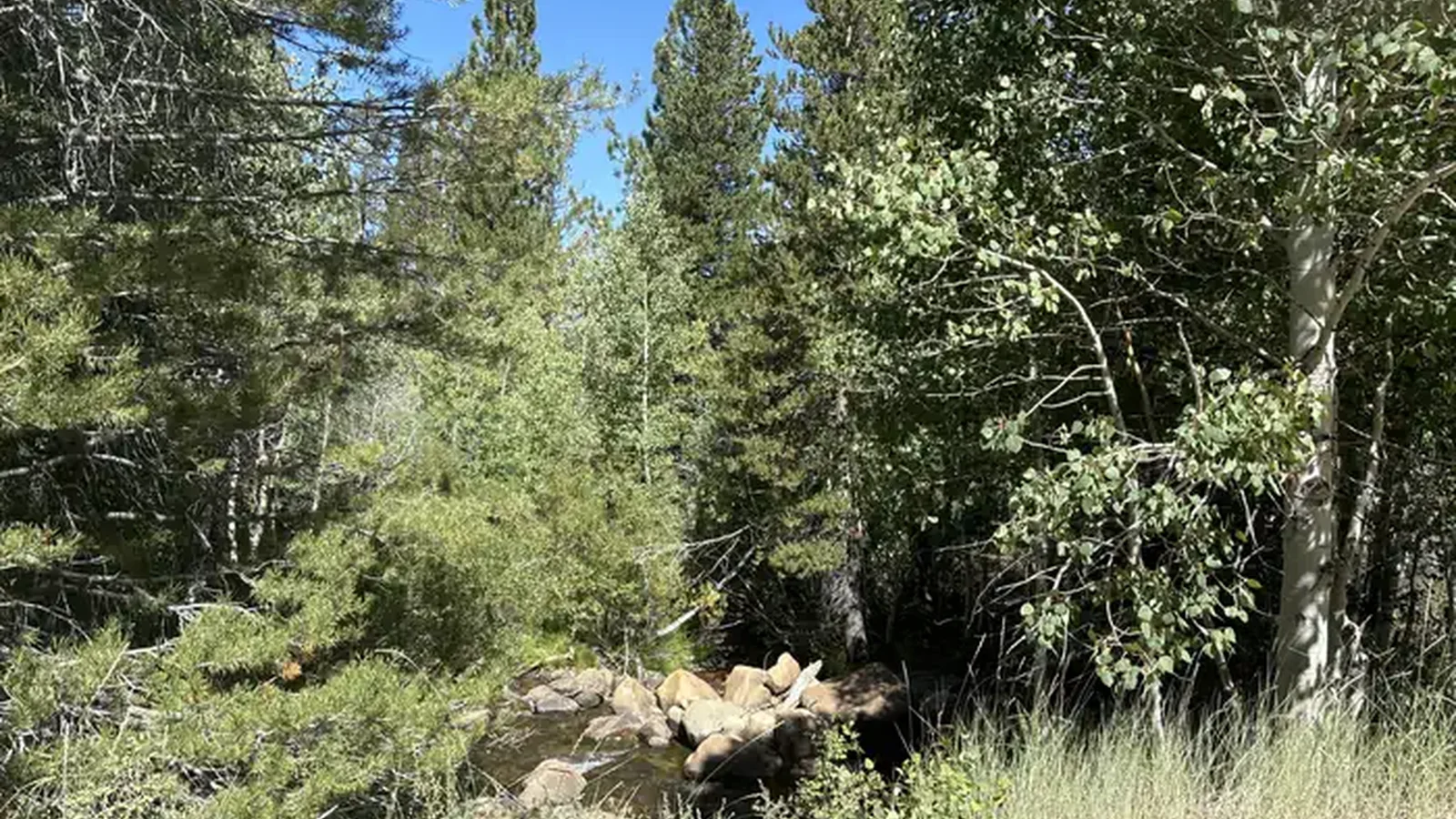 A photo of facility Obsidian with No Amenities Shown