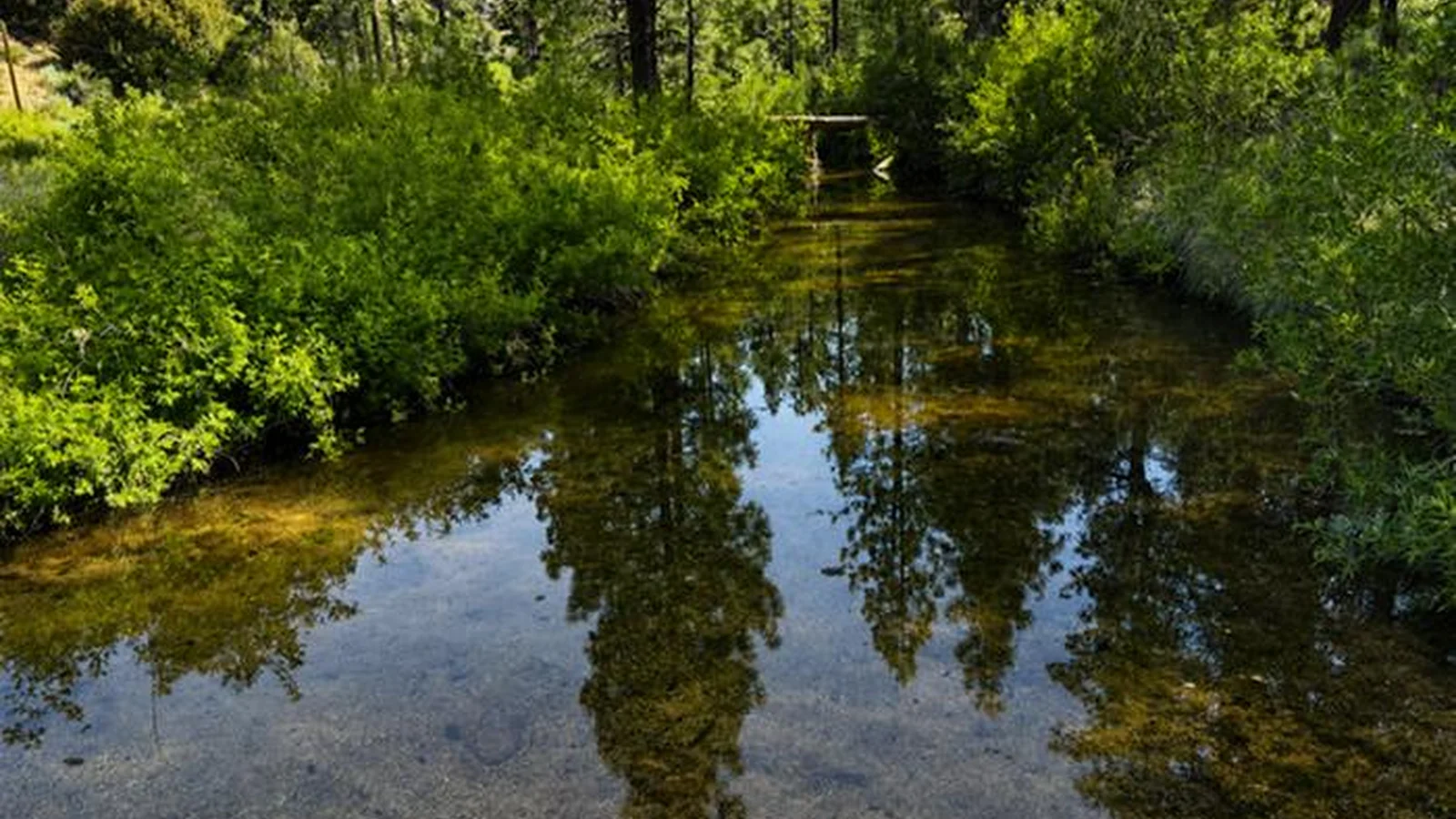 Seasonal stream near Chilao