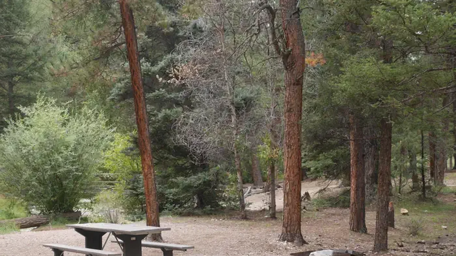 Fawn Lakes Campground