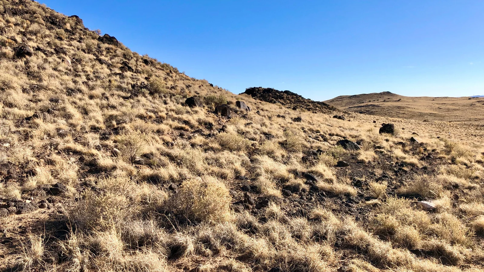 The Volcanoes of Petroglyph