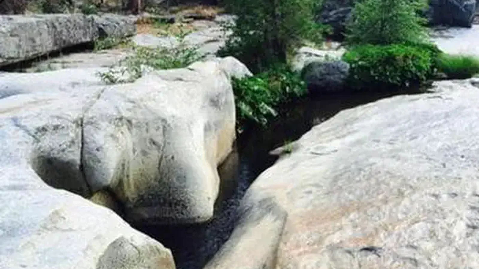 ROCK CREEK (SIERRA NATL FORES)