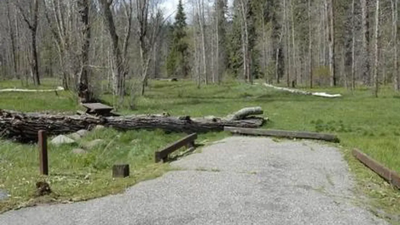 SUMMERDALE CAMPGROUND