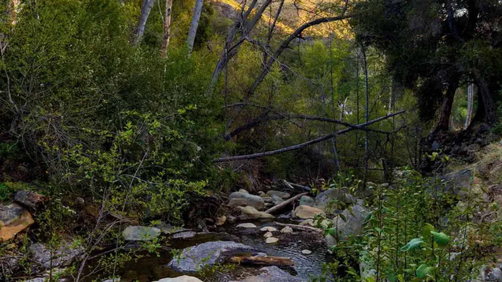 WHEELER GORGE RIVER
