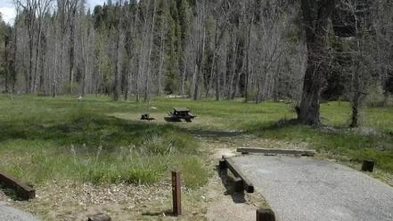 SUMMERDALE CAMPGROUND