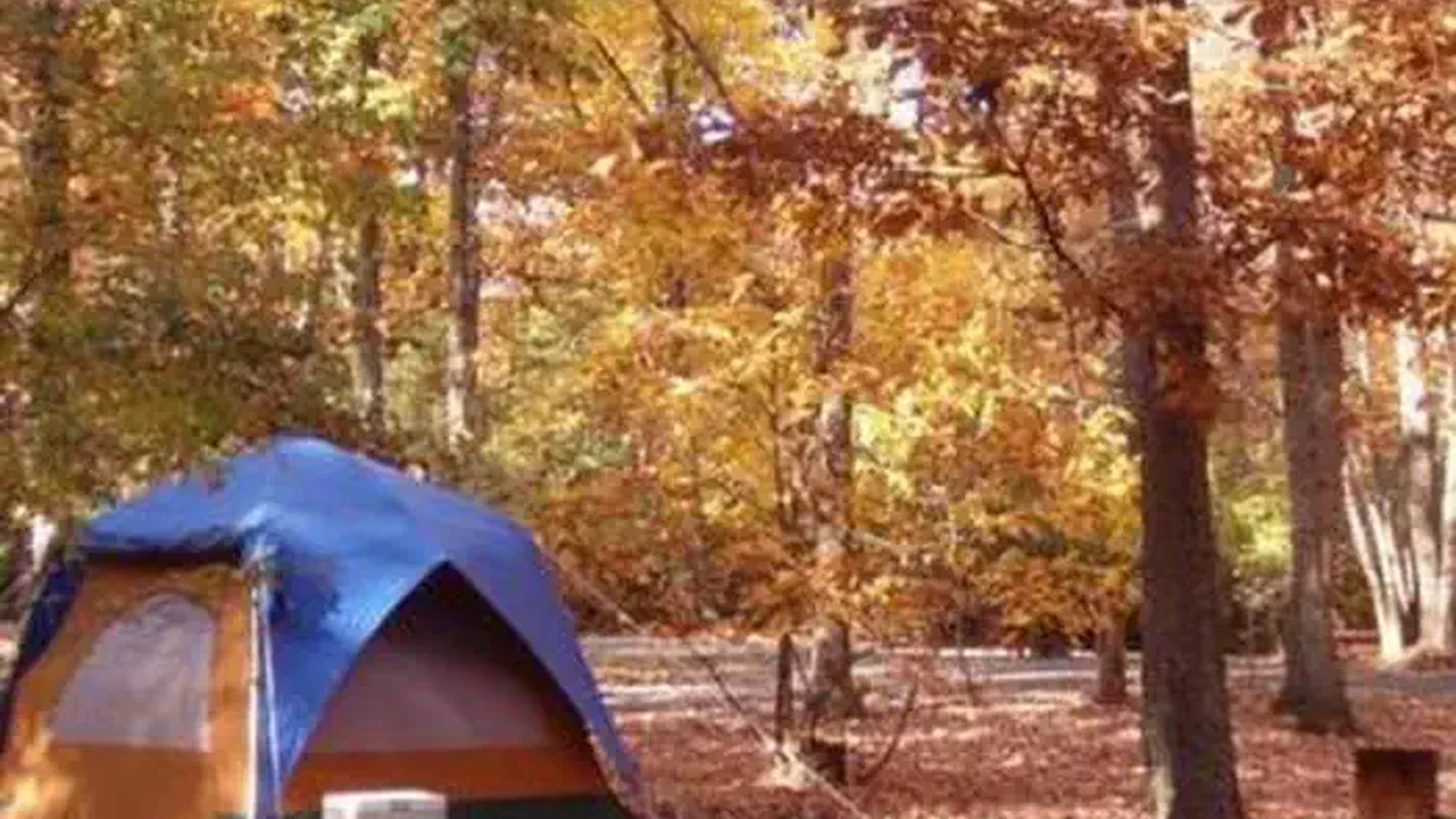 A Tent in the Greenbelt Park Maryland campground