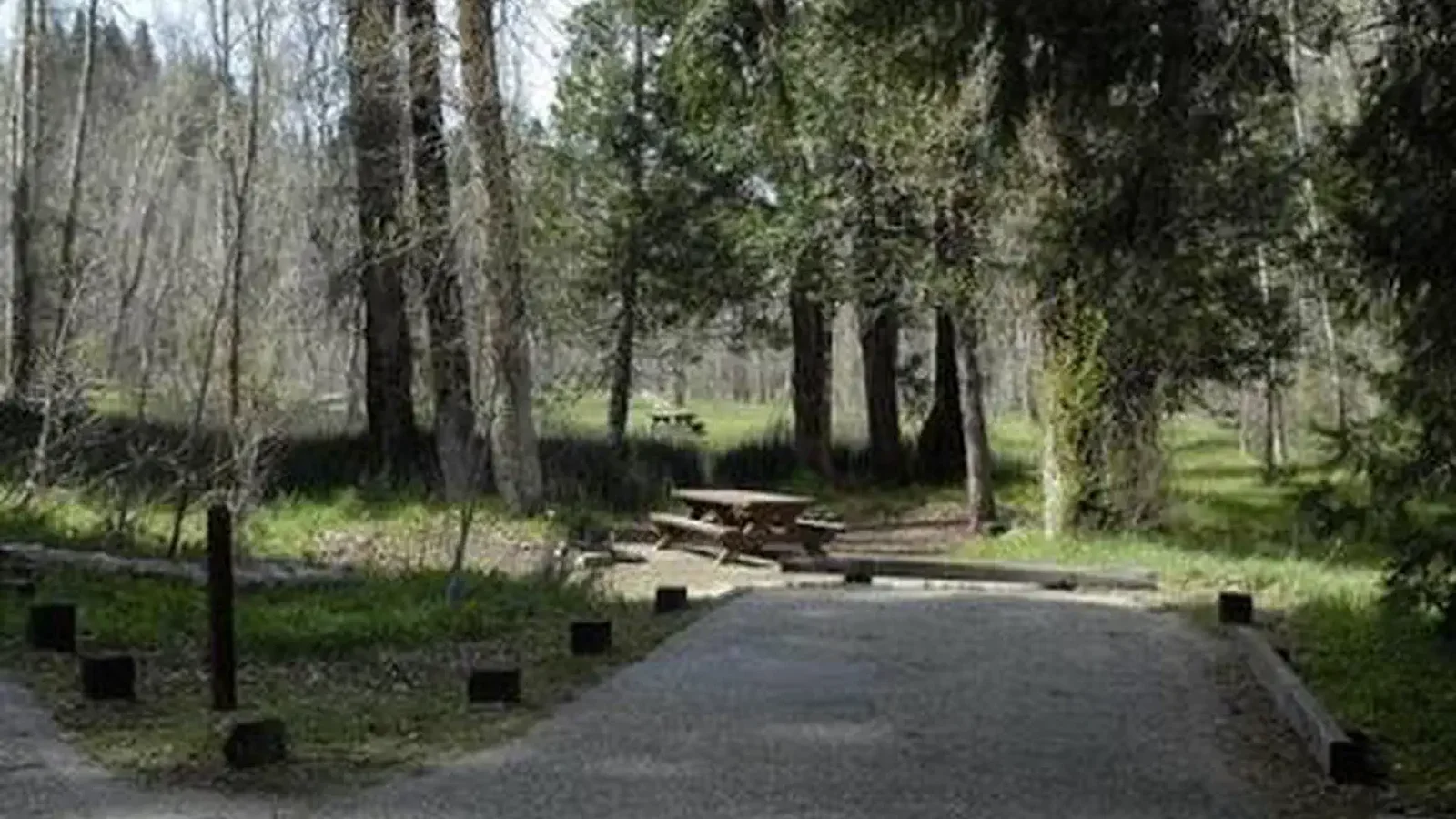SUMMERDALE CAMPGROUND