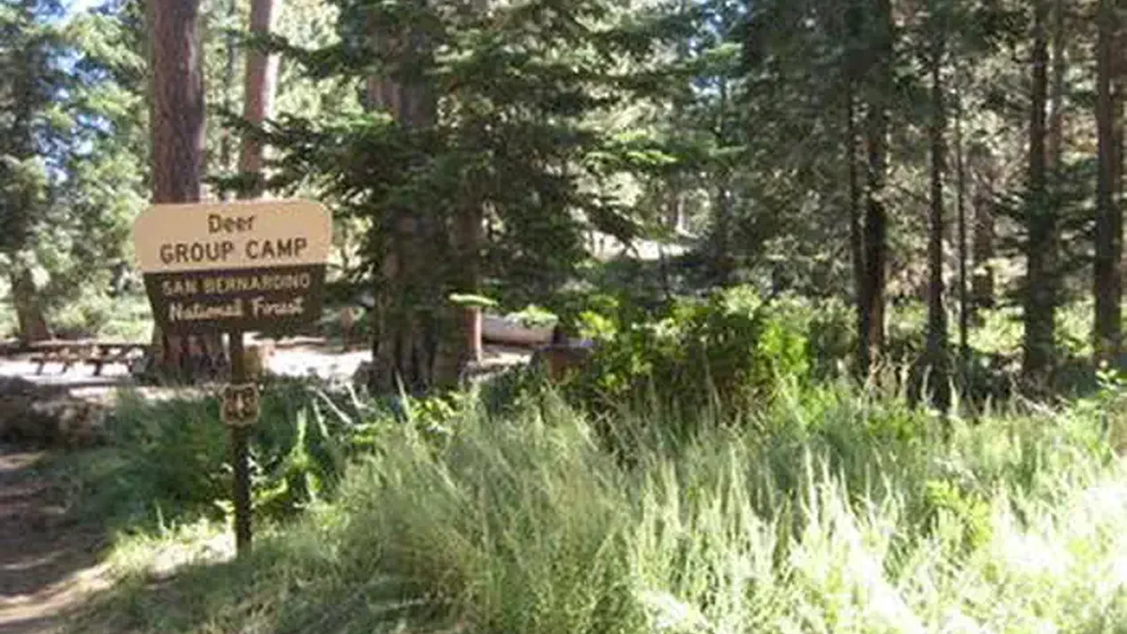 Deer Group Camp Sign