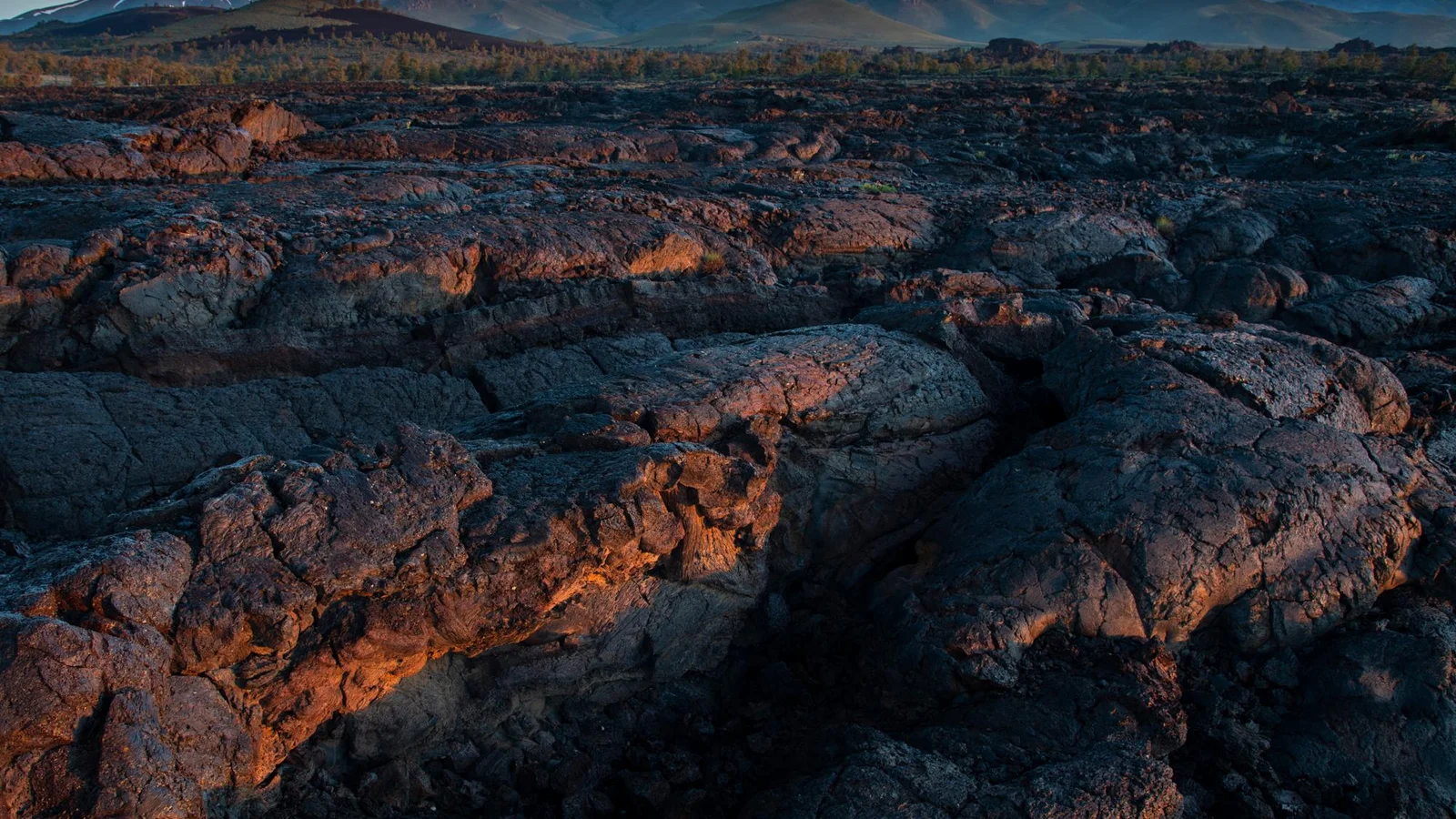 A Sea of Lava