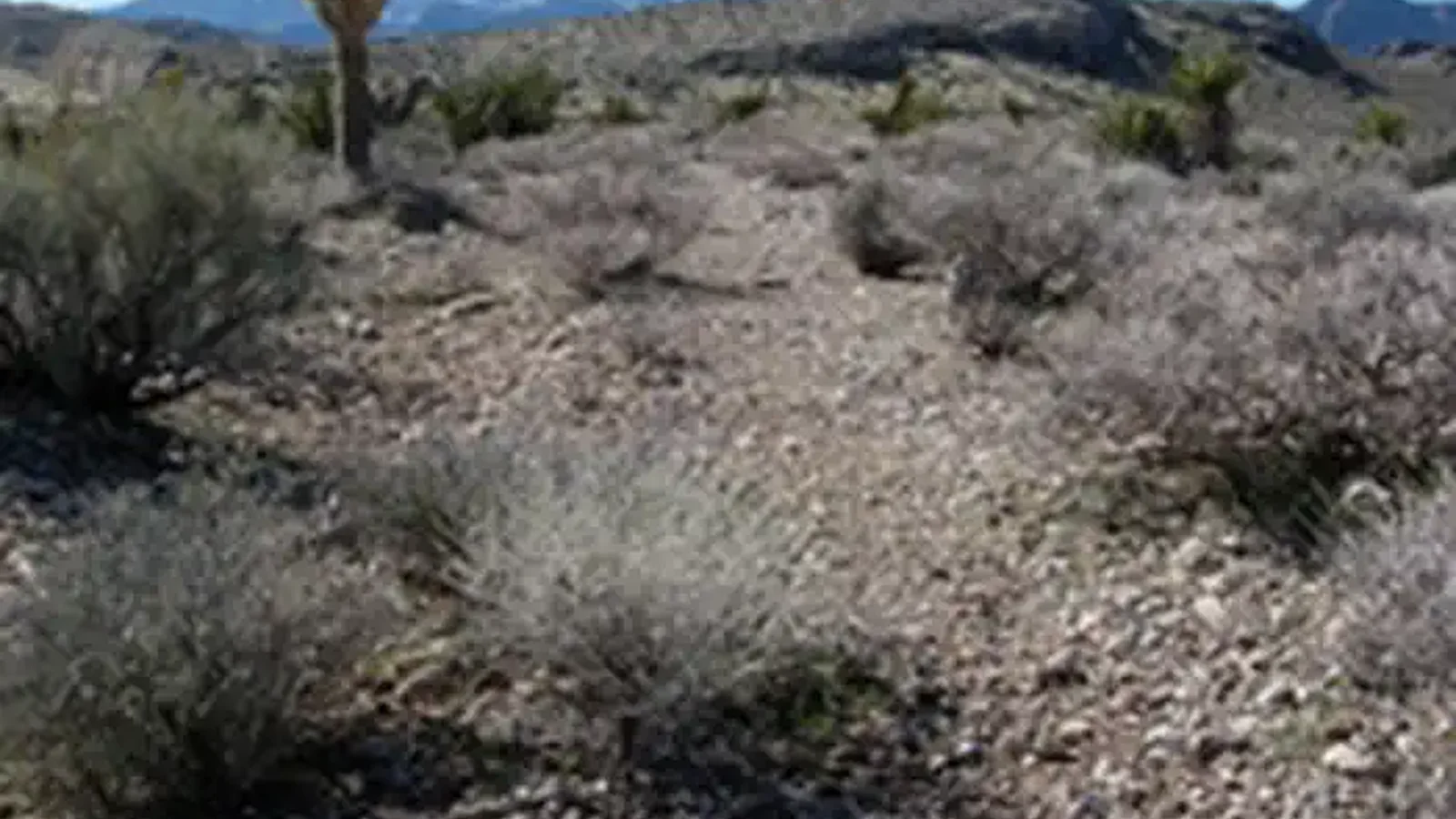 Old Spanish Trail segment, Nevada