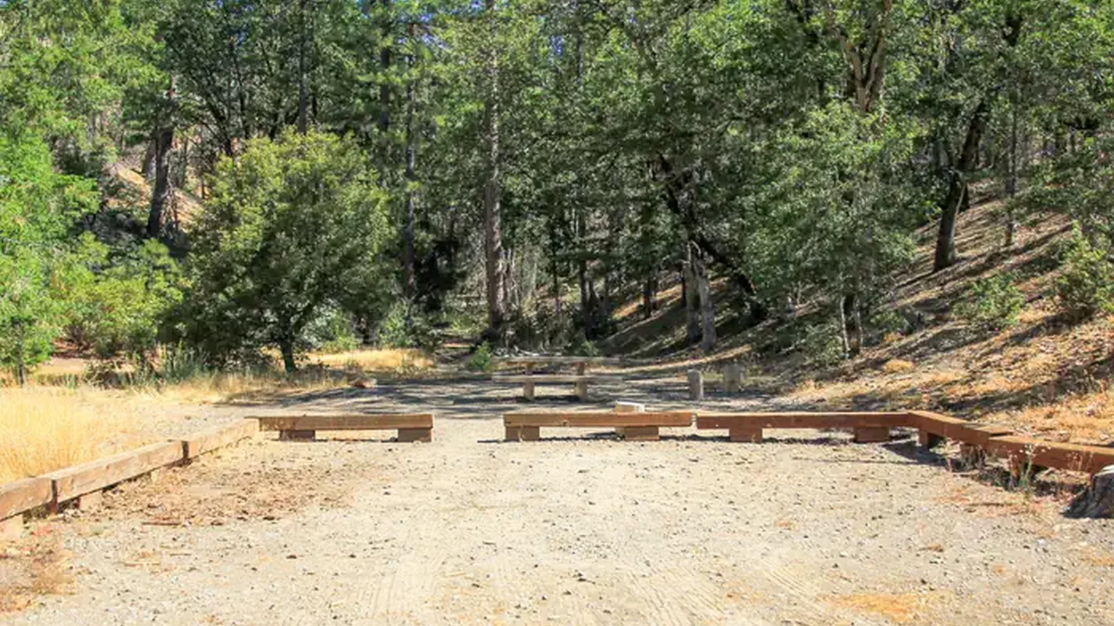 Campsite with Parking Space at Mill Valley Campground