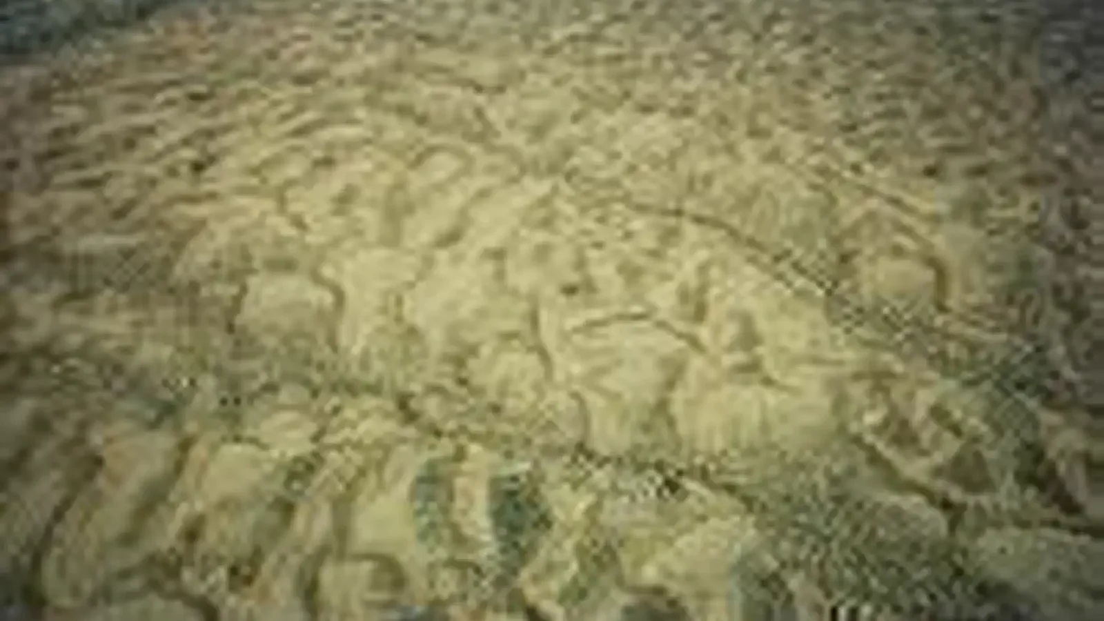 East Cactus Plain Wilderness