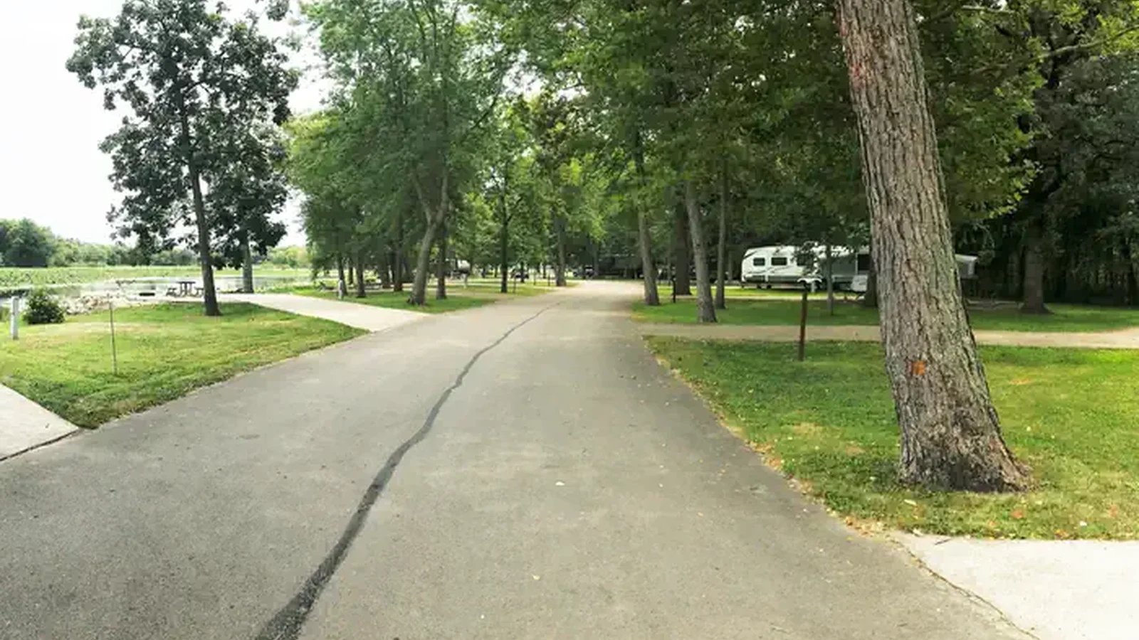 View of roadway in Potter’s North campground loop.