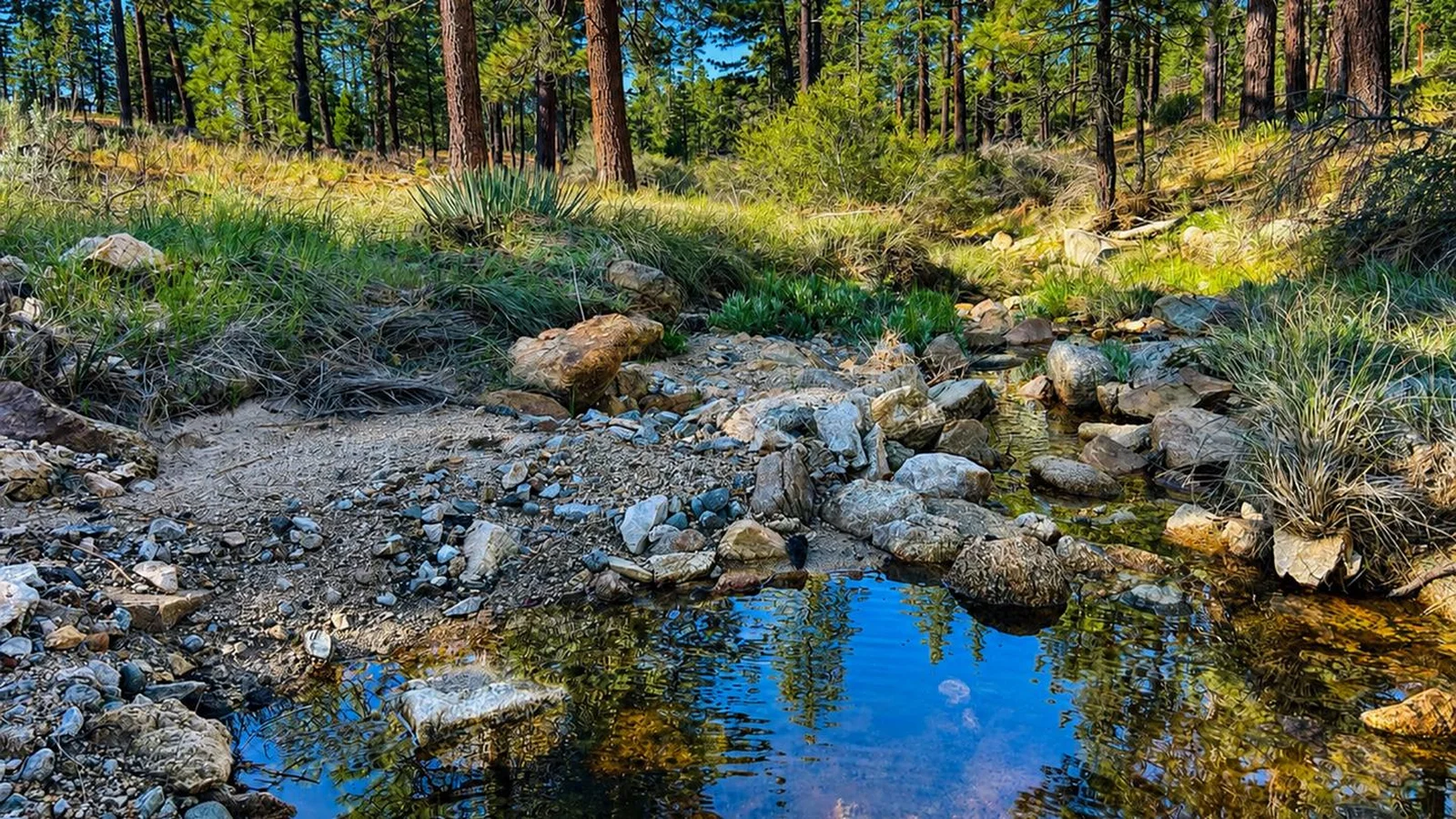 Seasonal stream near Bandido