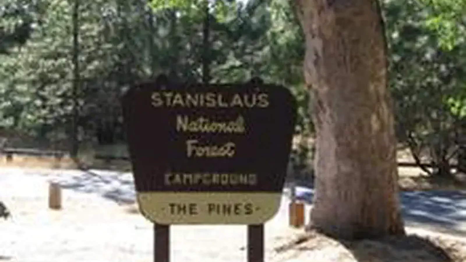 PINES GROUP STANISLAUS