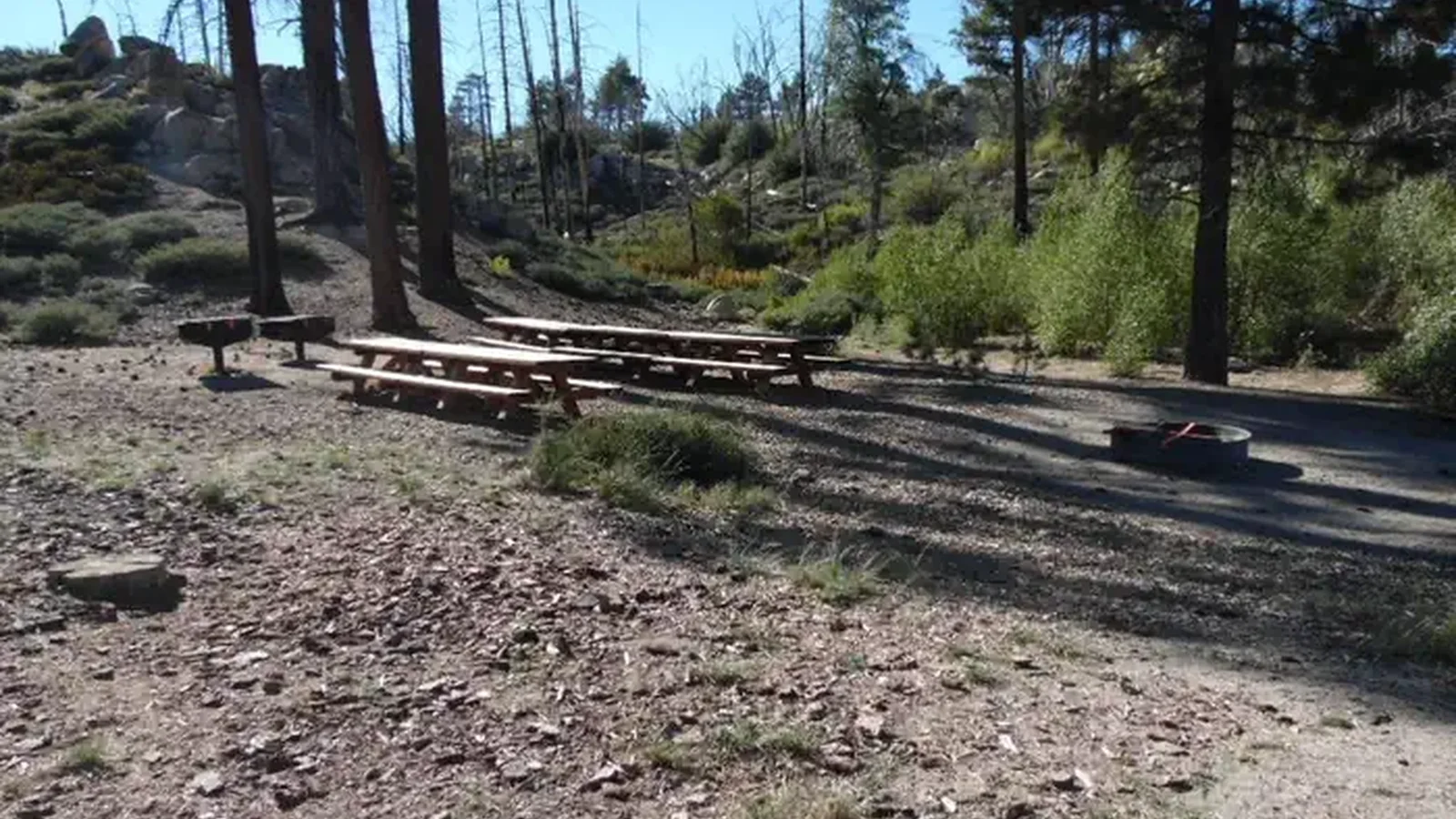 Picnic Tables at Grays Peak Group Campground