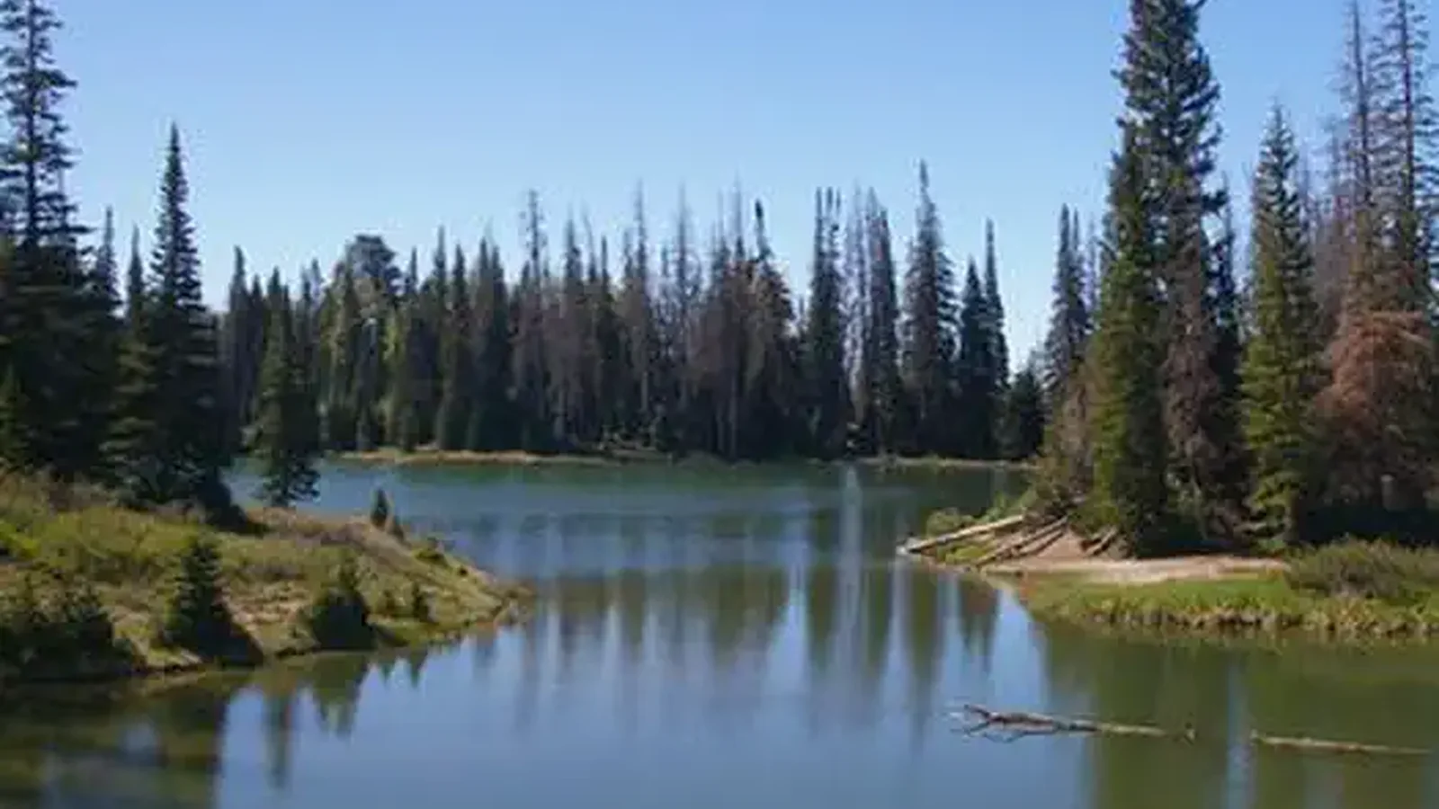 Potters    Pond