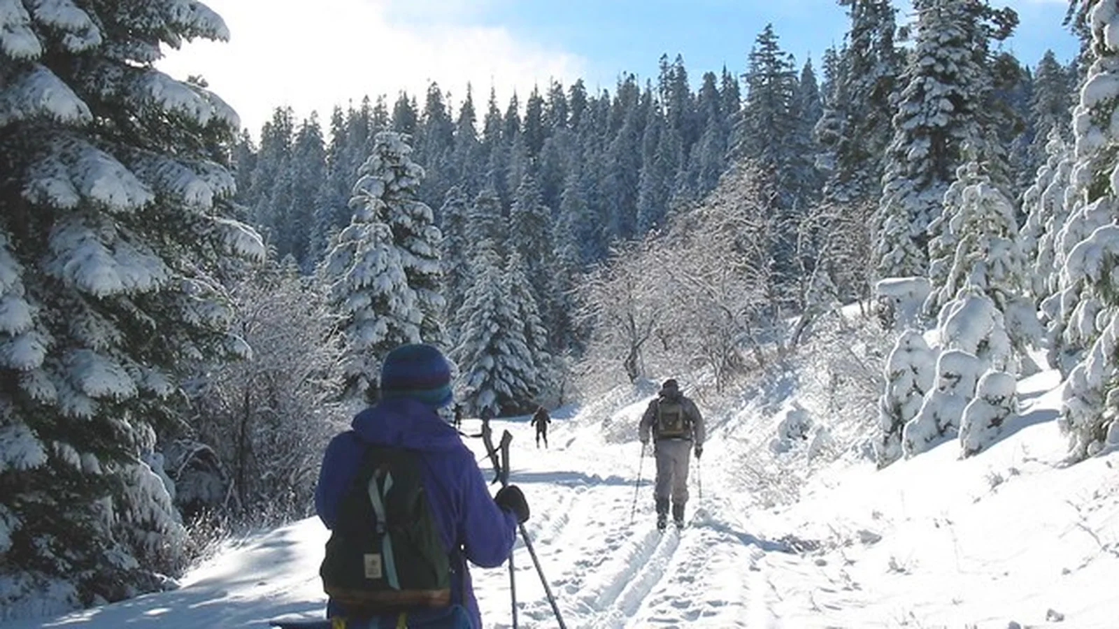 Skiing after the storm