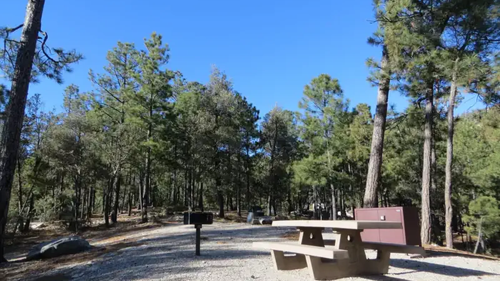 Rose Canyon Lake Campground Campsite