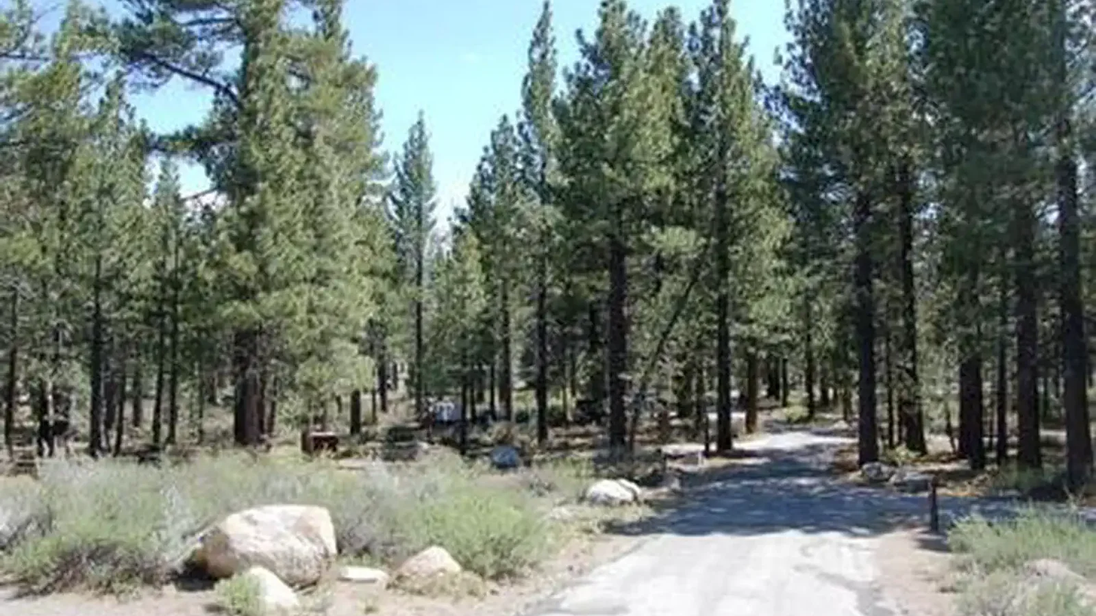 NEW SHADY REST CAMPGROUND