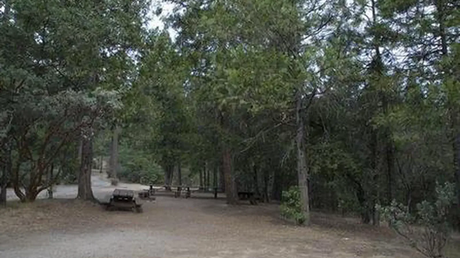 CRANE VALLEY