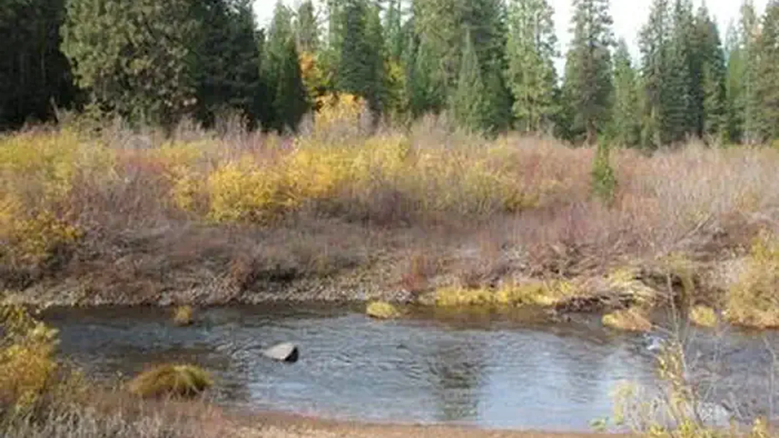 CAMP 4 GROUP CAMPGROUND