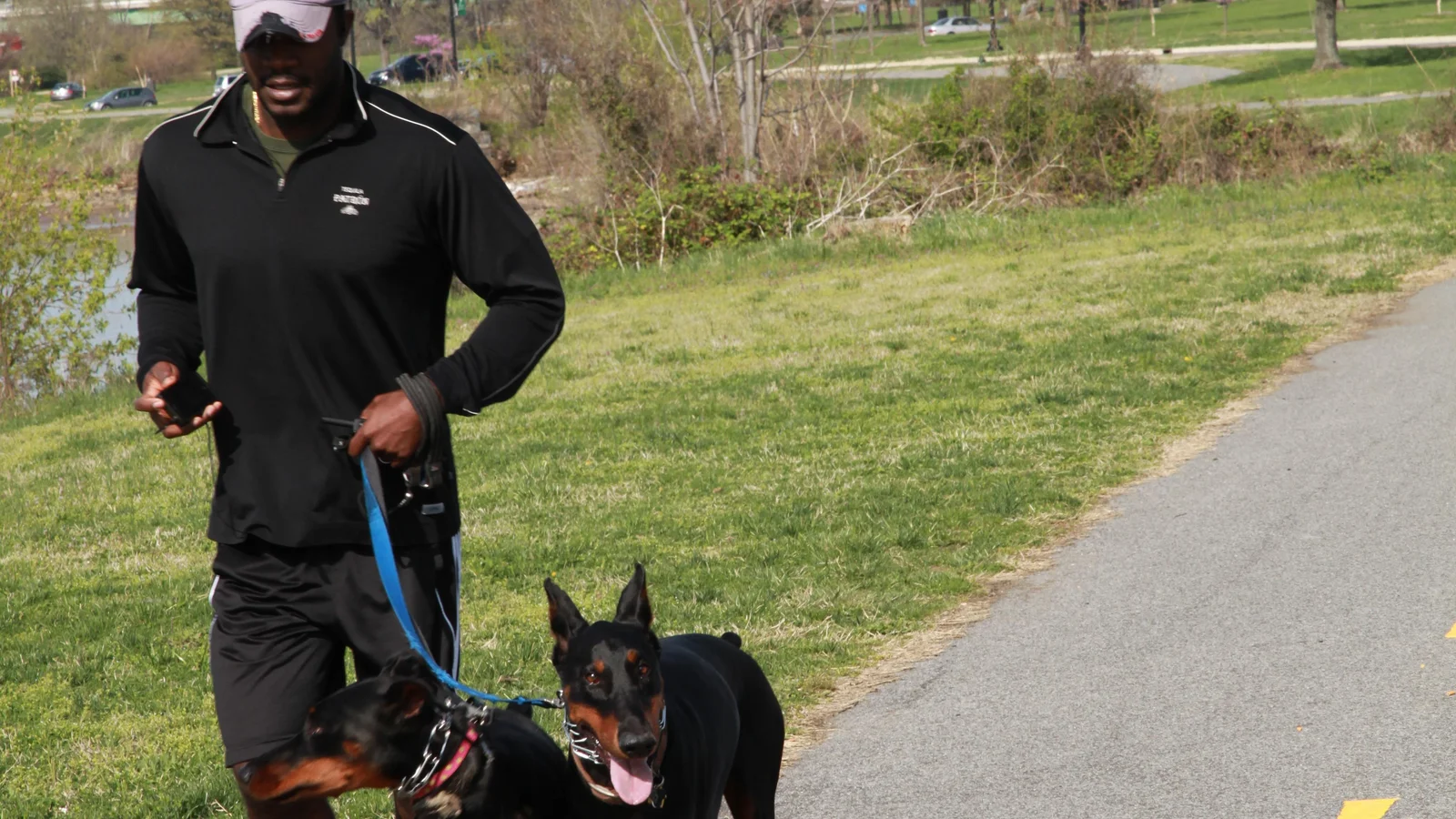 Bring your dog to the park!
