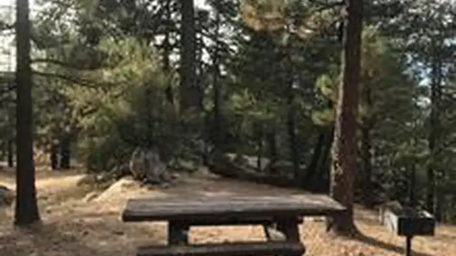 PINE MOUNTAIN CAMPGROUND