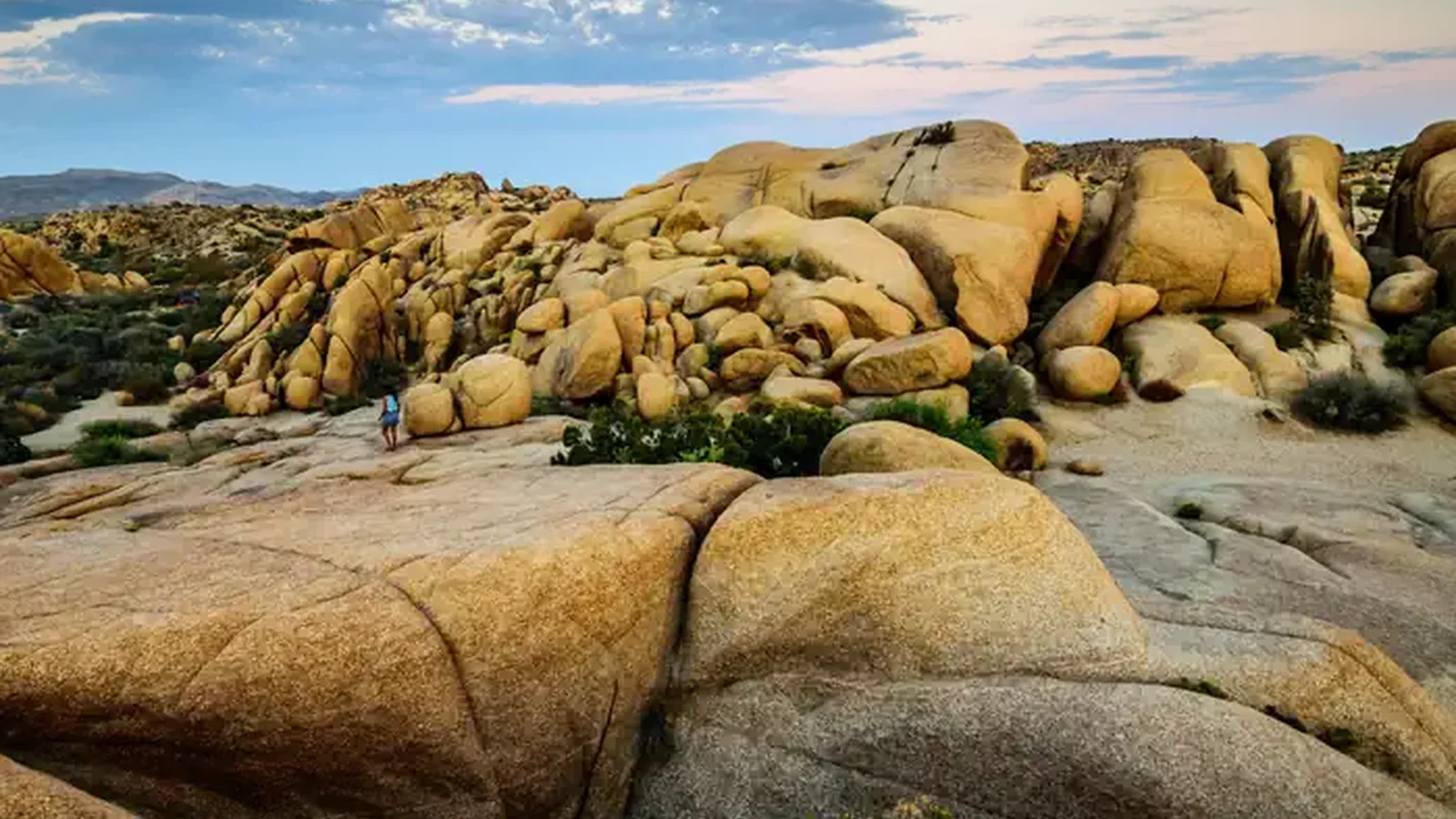 Jumbo Rocks, Joshua Tree National Park