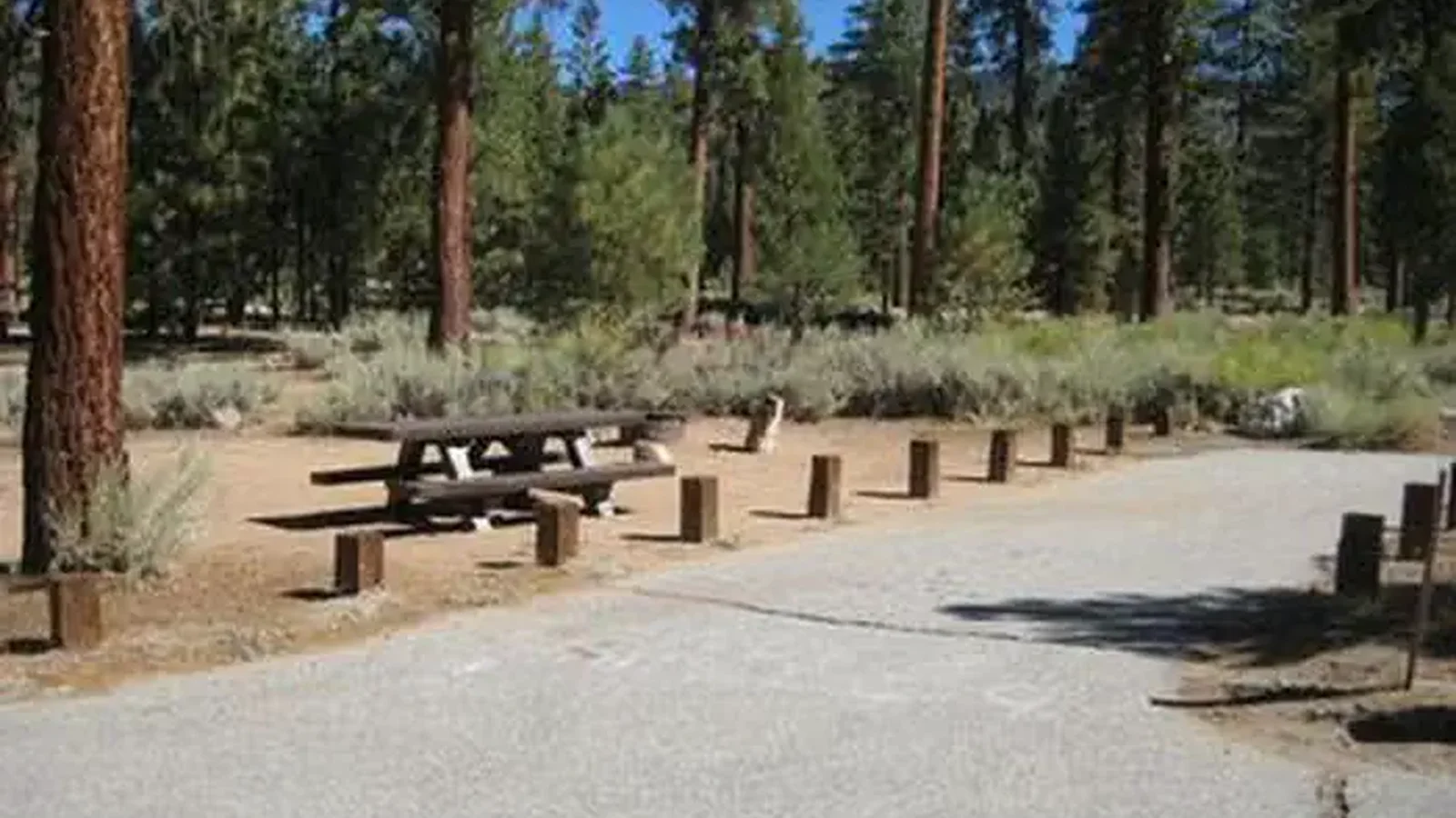 Heart Bar Campground Picnic Tables...