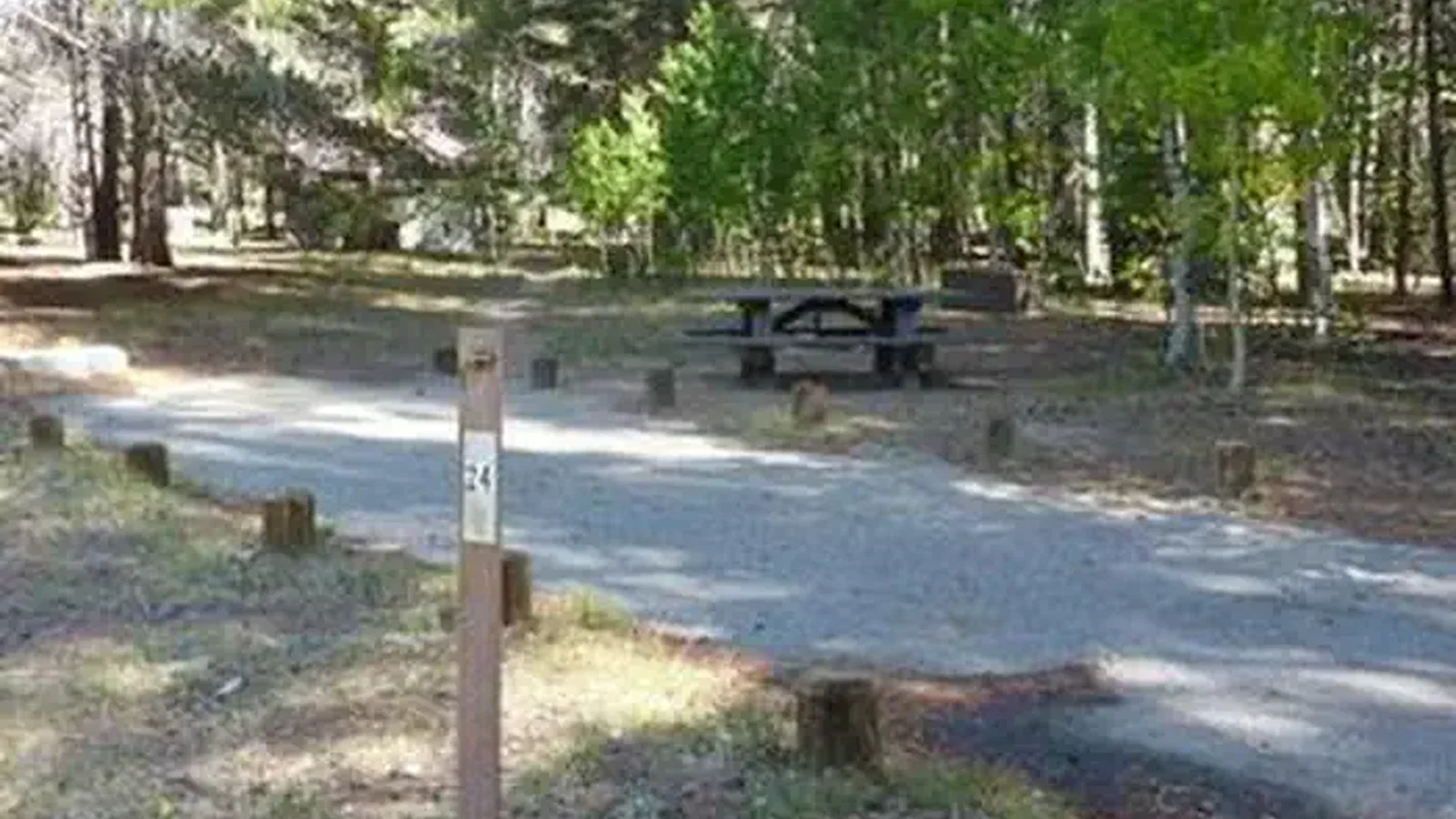 JACKASS MEADOW