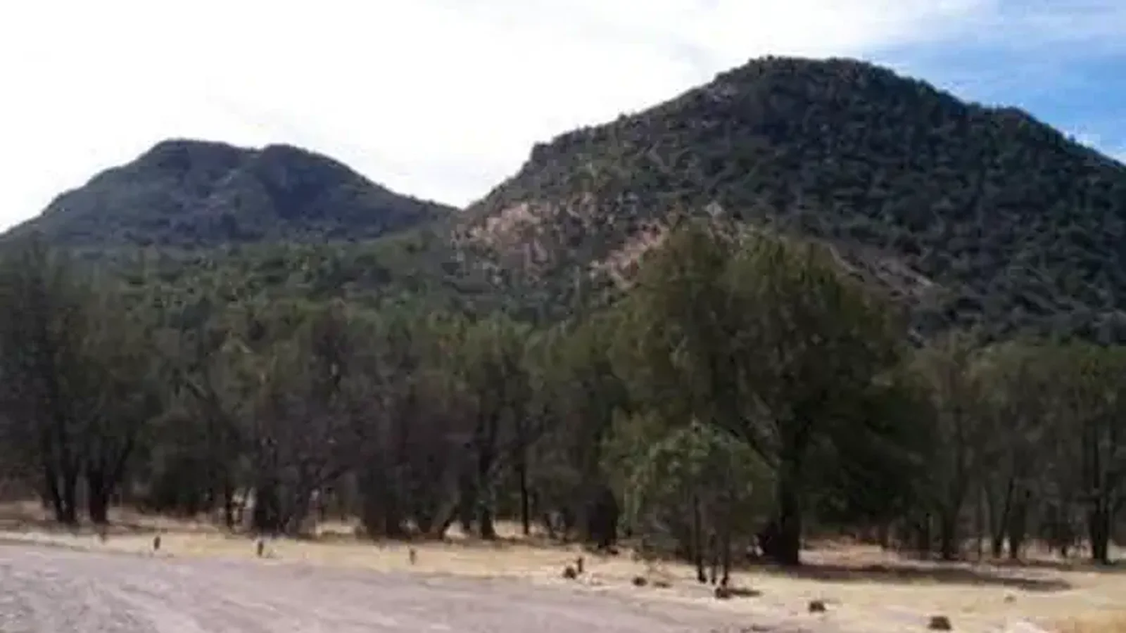 Distant mountains and trees along a road