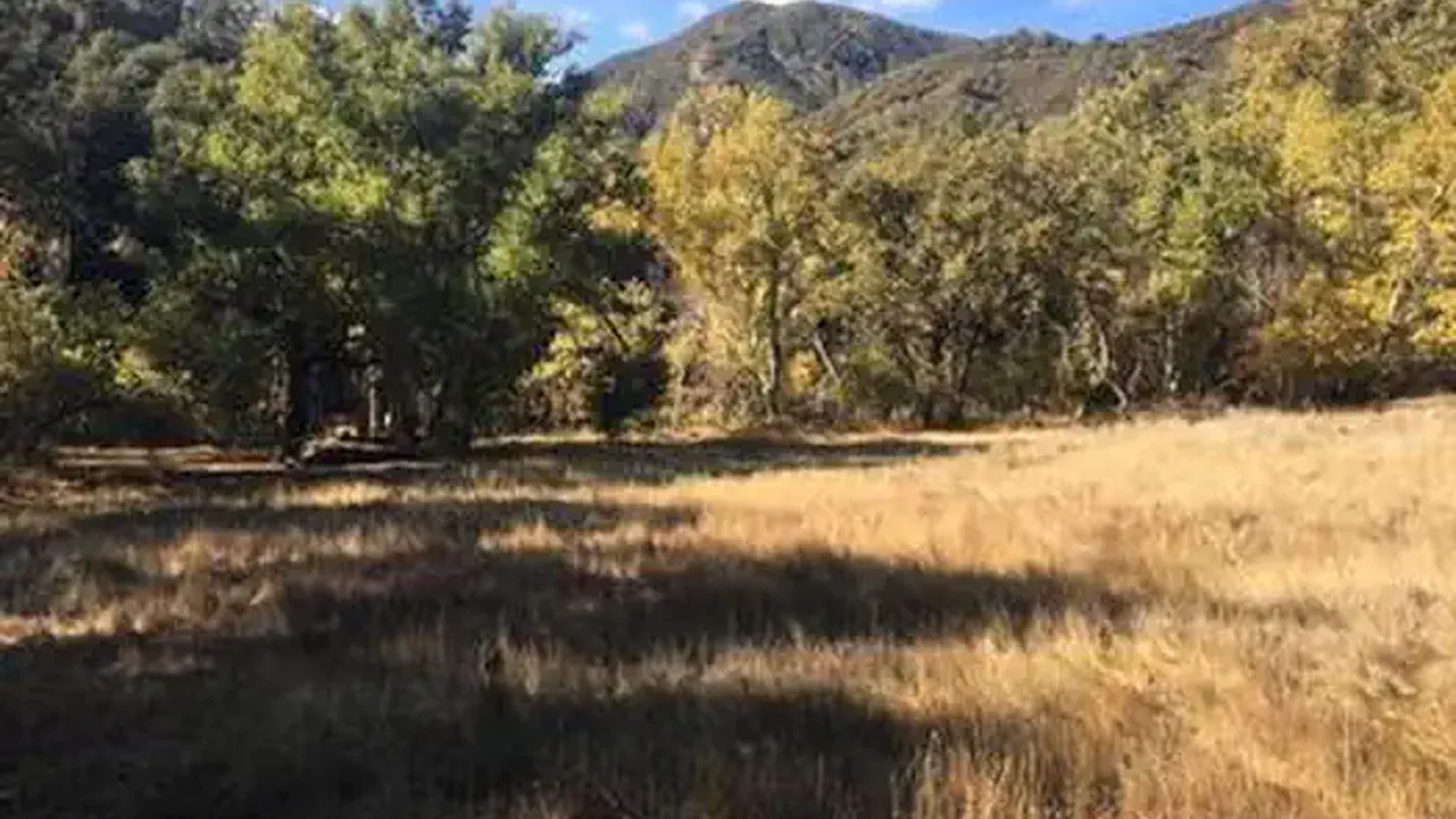 PONDEROSA CAMPGROUND