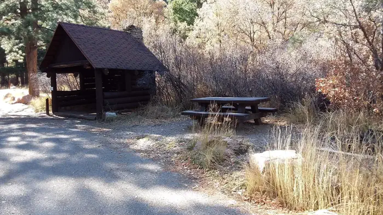 Site 15