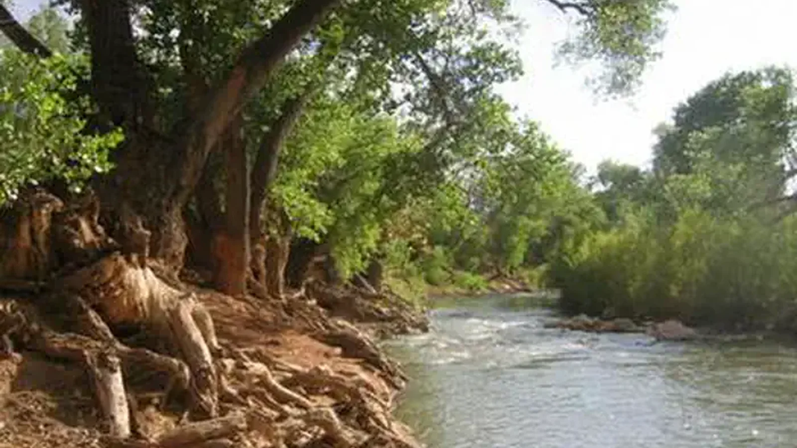 WATCHMAN CAMPGROUND