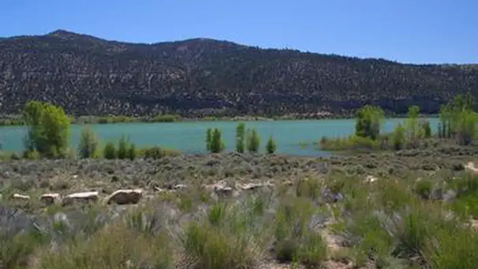 JOES VALLEY PAVILION GROUP SITE A