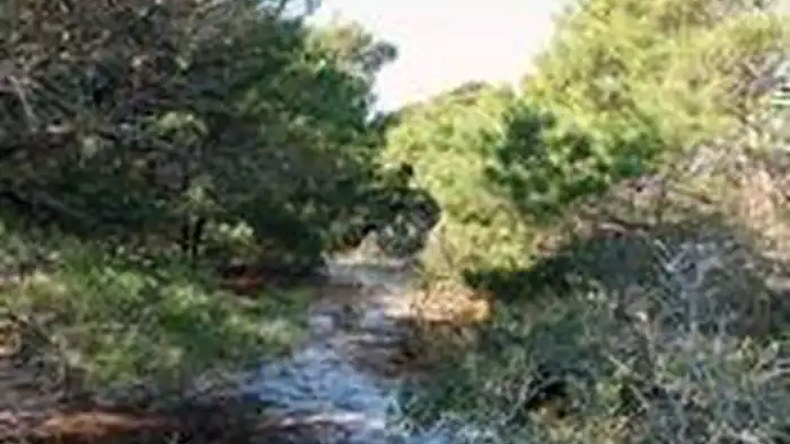 Hiking at the Jupiter Inlet Lighthouse Outstanding Natural Area