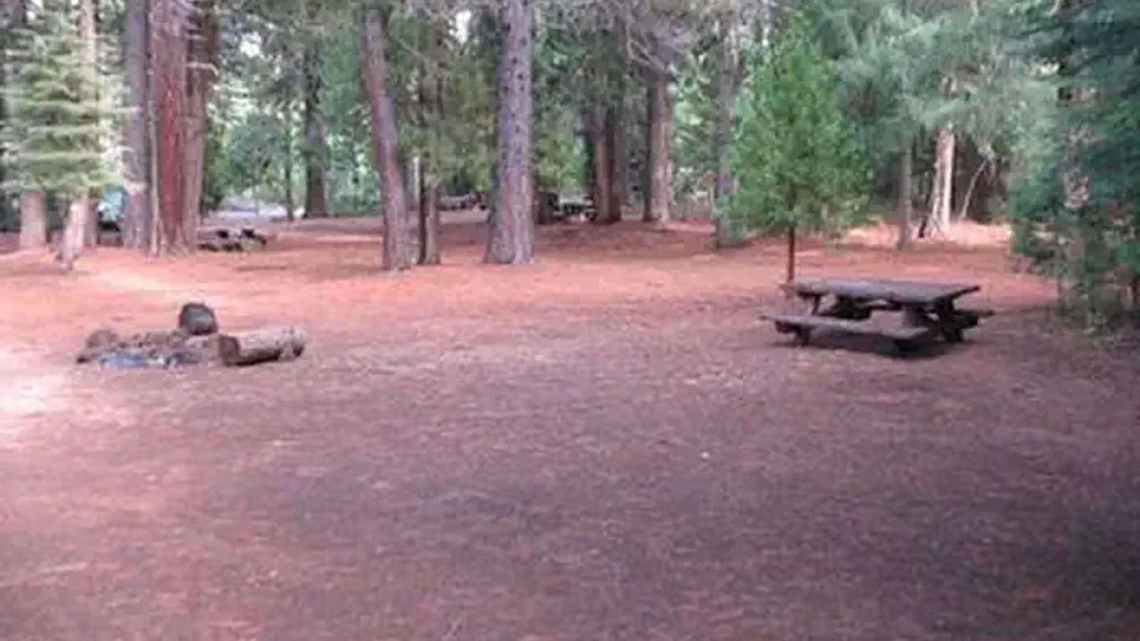 CAMP 4 GROUP CAMPGROUND