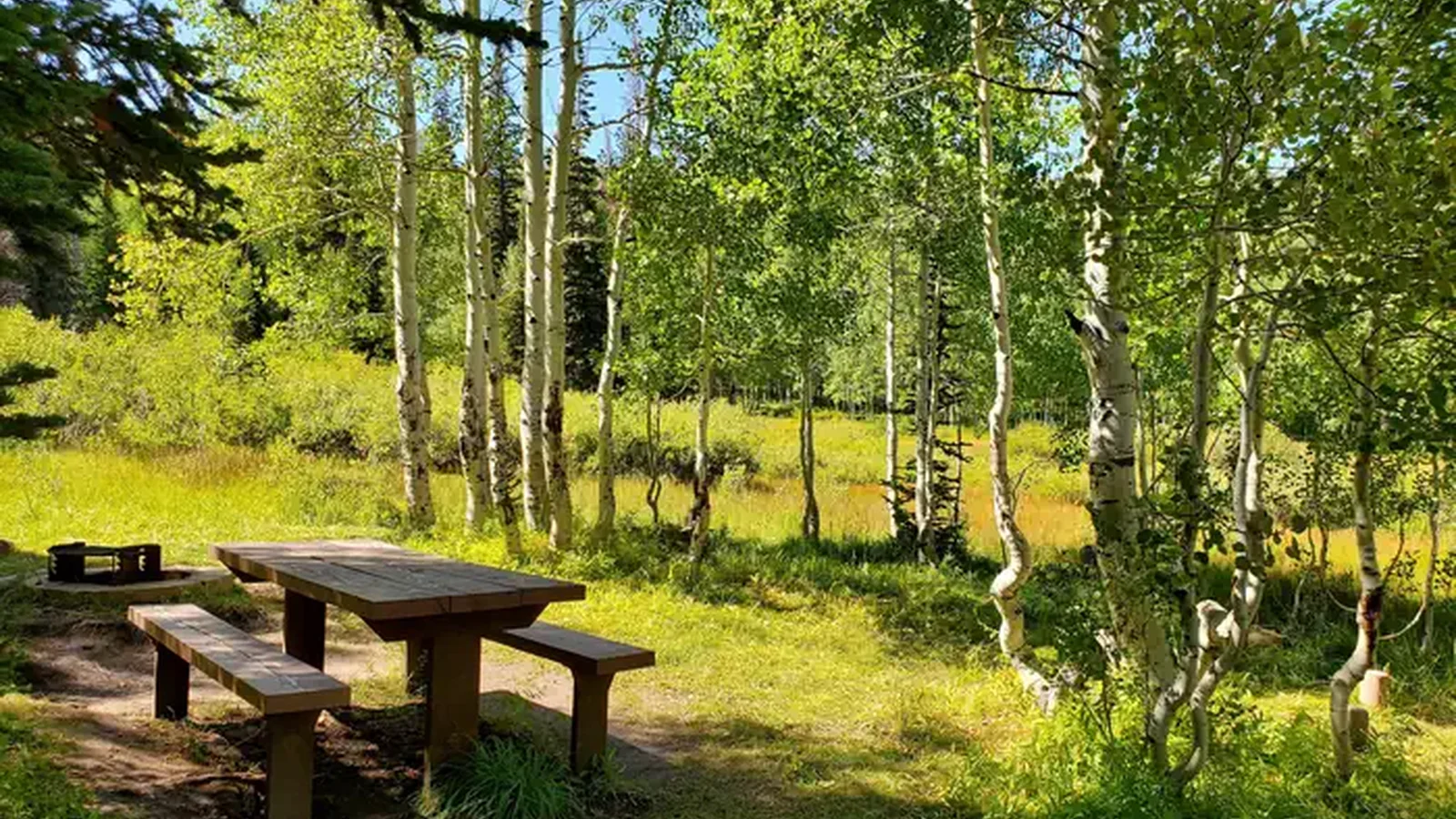 Gooseberry Group Campground Site #1