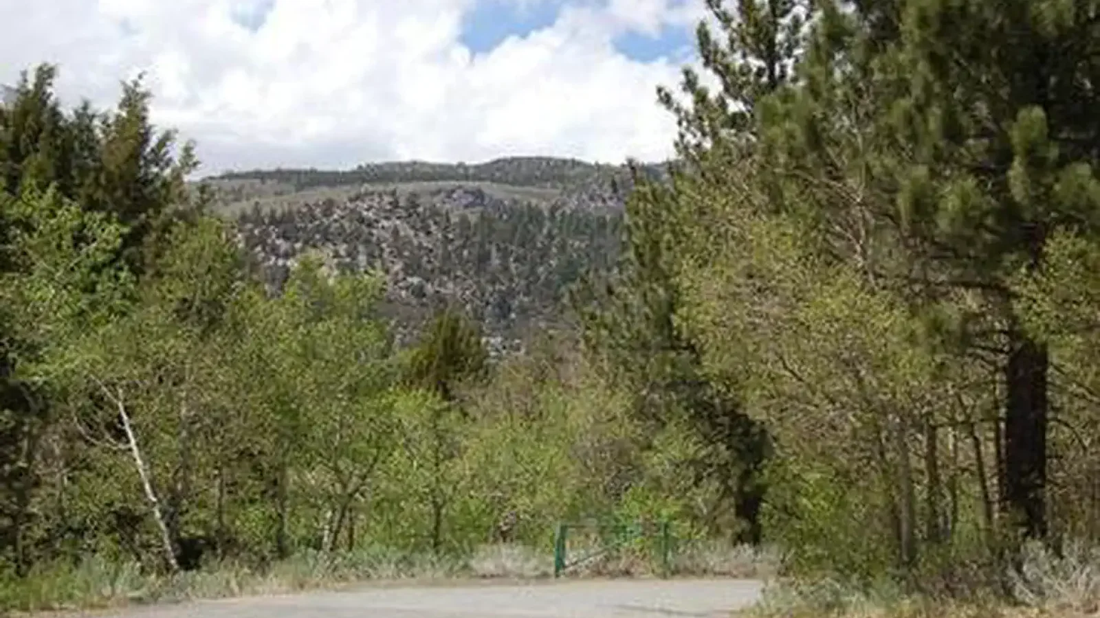 JUNE LAKE