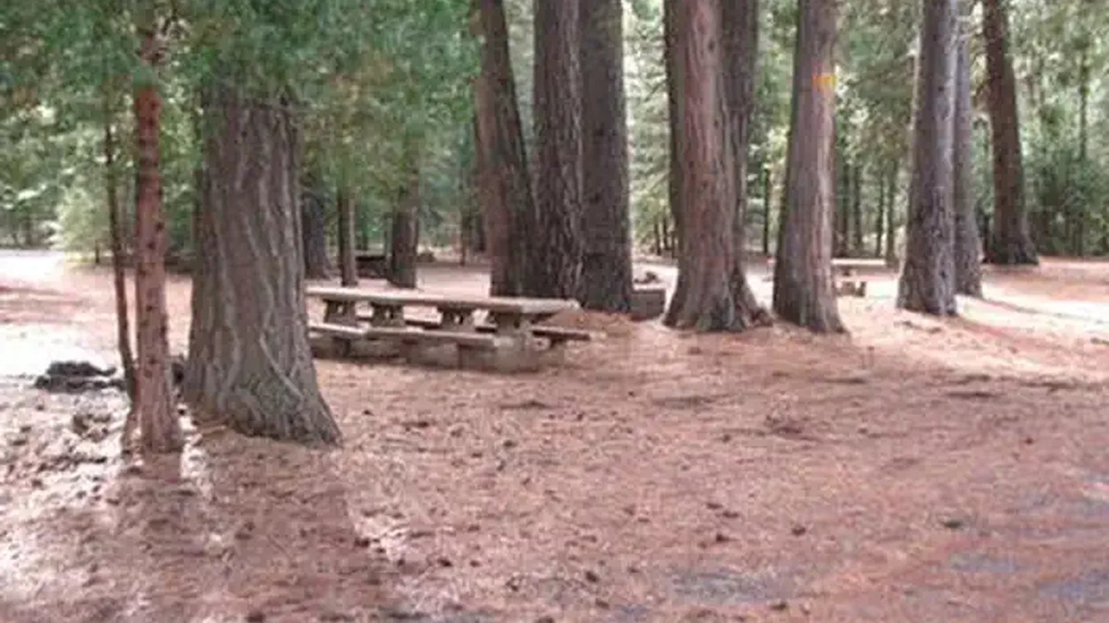 CAMP 4 GROUP CAMPGROUND