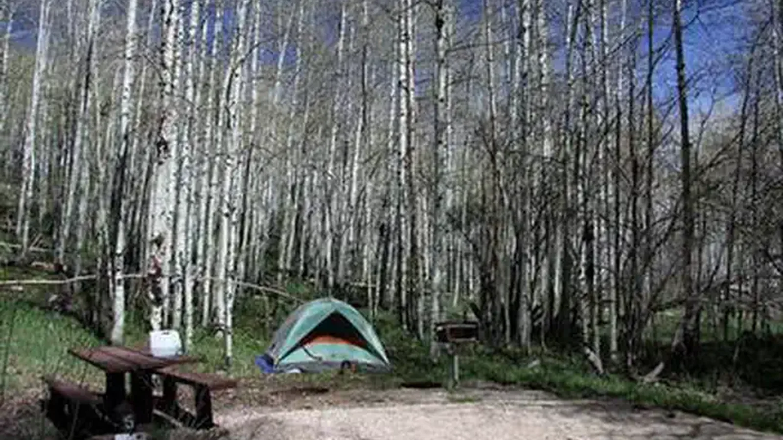 Site 5