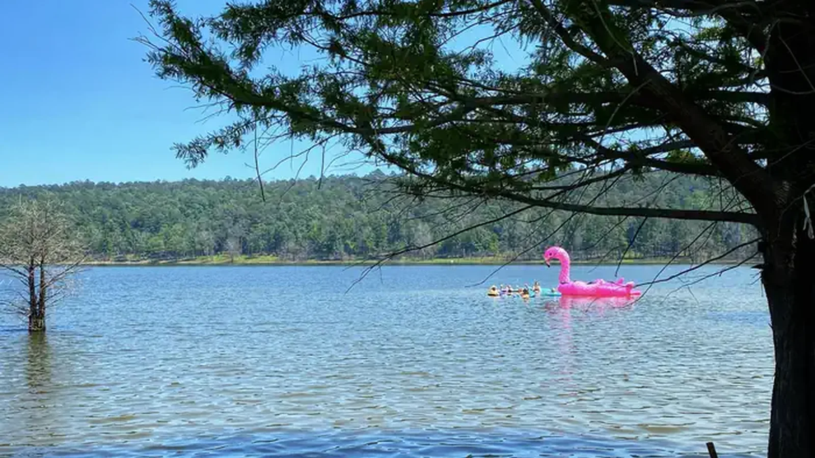 Always a great time at Dierks Lake!